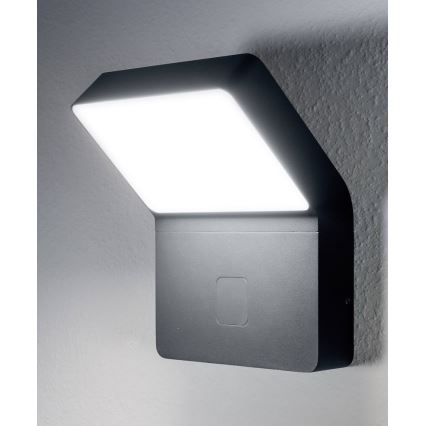 Ledvance - LED Āra gaismeklis ar sensoru ENDURA LED/12W/230V IP44