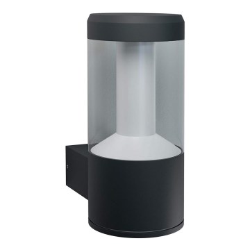 Ledvance - LED Āra lampa LANTERN 1xLED/12W/230V IP44