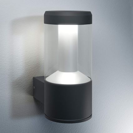 Ledvance - LED Āra lampa LANTERN 1xLED/12W/230V IP44