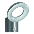Ledvance - LED  Āra sienas gaisma ar sensoru LOOP 1xLED/12W/230V IP44
