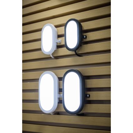 Ledvance - LED Āra sienas gaismeklis BULKHEAD LED/6W/230V IP54 melns