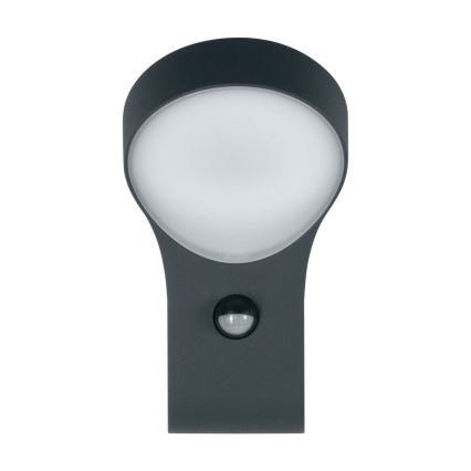 Ledvance - LED Āra sienas lampa ar sensoru ENDURA LED/8W/230V IP44