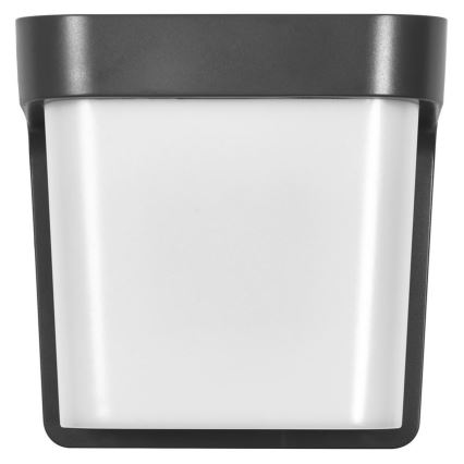 Ledvance - LED Āra sienas lampa ENDURA STYLE IHSAN LED/11W/230V IP65