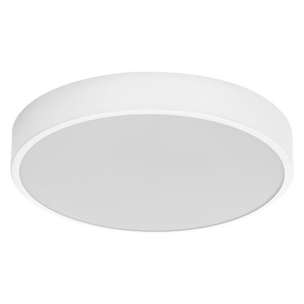 Ledvance - LED Griestu lampa ORBIS SLIM LED/20W/230V balta