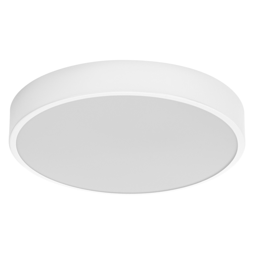Ledvance - LED Griestu lampa ORBIS SLIM LED/20W/230V balta
