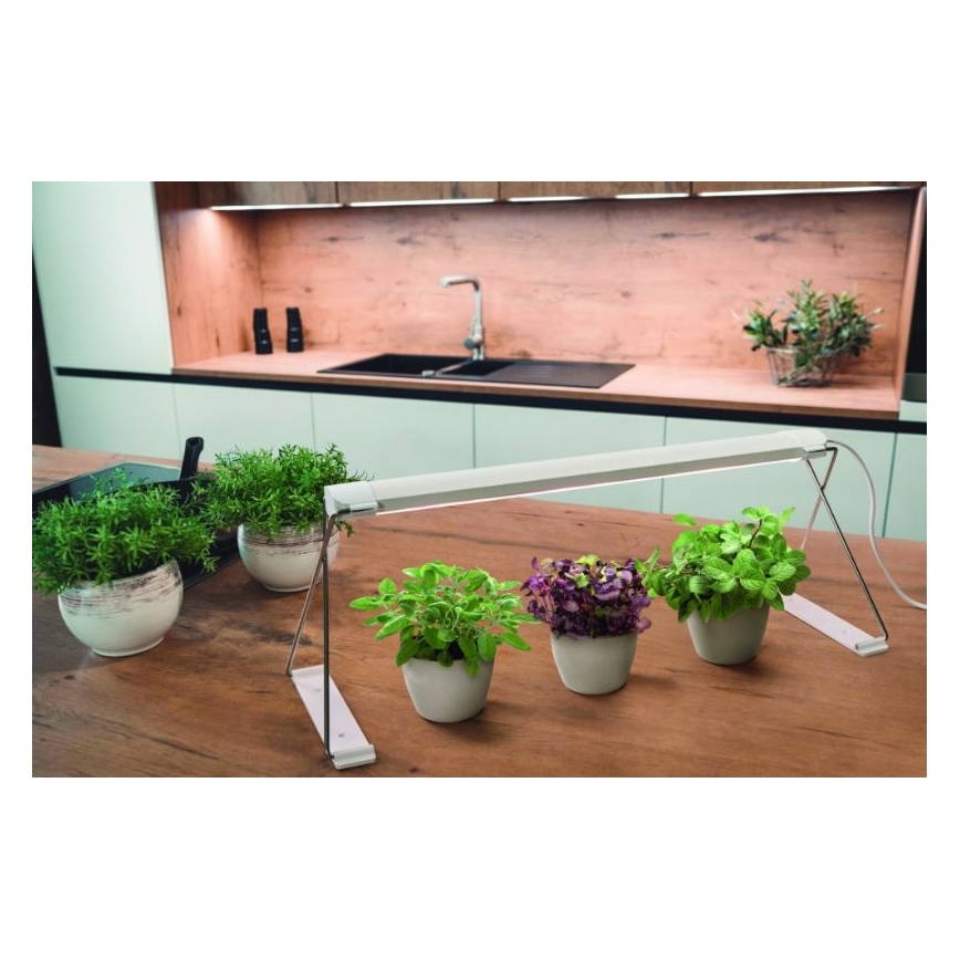 Ledvance - LED Iekštelpu augu lampa GARDEN LIGHT LED/14W/230V