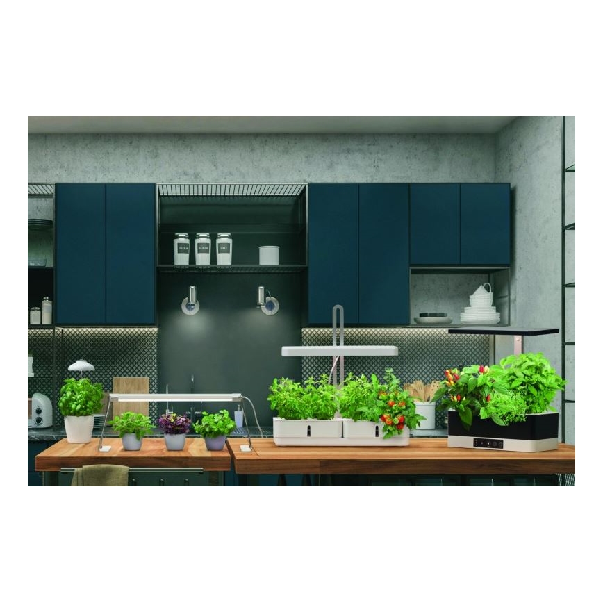 Ledvance - LED Iekštelpu augu lampa GARDEN LIGHT LED/14W/230V