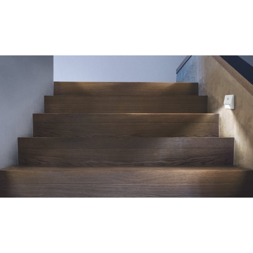 Ledvance - LED Kāpņu telpas lampa ar sensoru NIGHTLUX LED/0.25W/3xAAA IP54