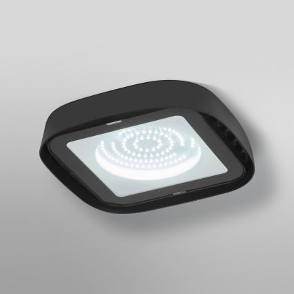 Ledvance - LED Lielas slodzes griestu lampa HIGHBAY LED/80W/230V IP65 6500K