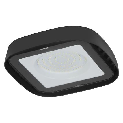 Ledvance - LED Lielas slodzes griestu lampa HIGHBAY LED/80W/230V IP65 6500K