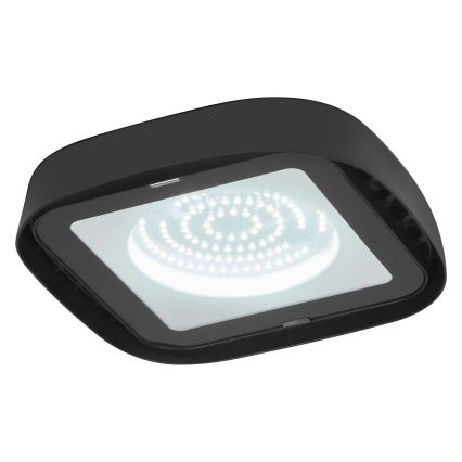 Ledvance - LED Lielas slodzes griestu lampa HIGHBAY LED/80W/230V IP65 6500K