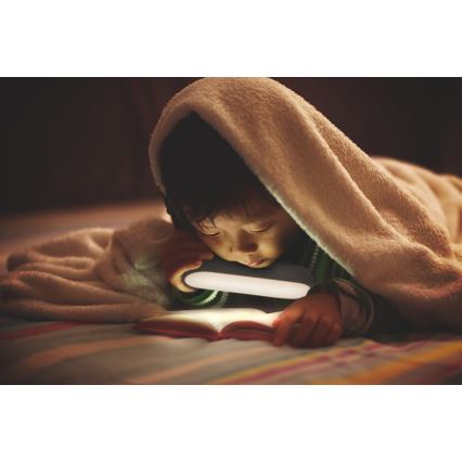 Ledvance - LED Mēbeļu apgaismojums ar sensoru MOBILE LED/1,2W/5V 500 mAh 4000K