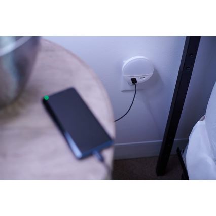Ledvance - LED naktslampa kontaktligzdā ar sensoru LUNETTA 2xUSB LED/13W/230V