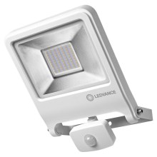 Ledvance - LED Plūdu gaismeklis ar sensoru ENDURA LED/50W/230V IP44