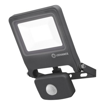 Ledvance - LED Plūdu gaismeklis ENDURA ar sensoru LED/20W/230V IP44