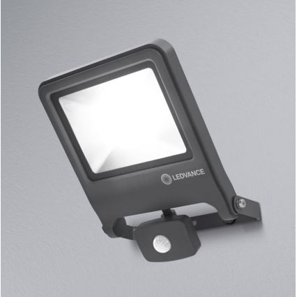 Ledvance - LED Prožektors ar sensoru ENDURA LED/50W/230V IP44