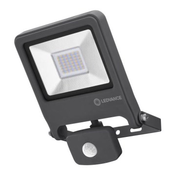 Ledvance - LED Prožektors ENDURA ar sensoru LED/30W/230V IP44