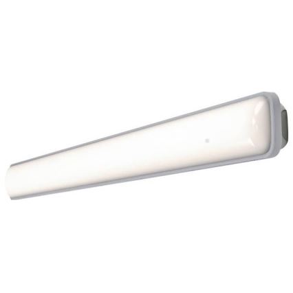 Ledvance - LED Technical gaiša SUBMARINE LED/18W/230V IP65