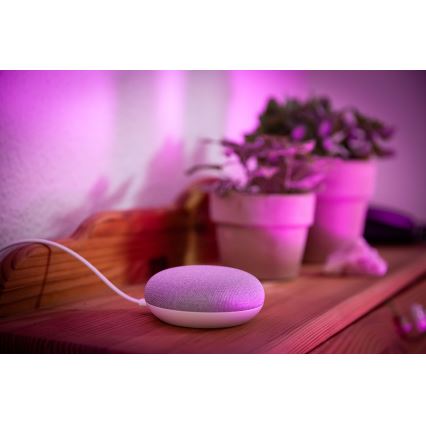 Ledvance - Viedais skaļrunis Google Nest Mini + LED RGBW Aptumšojama spuldze SMART+E27/10W/230V