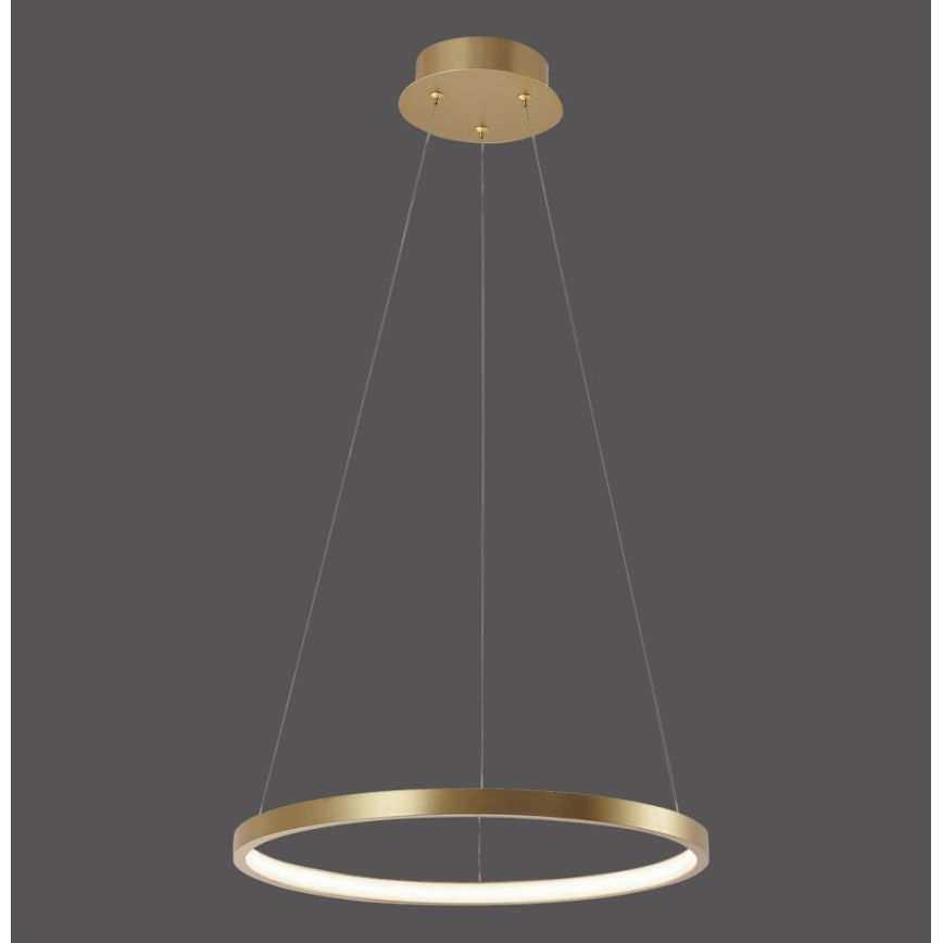 Leuchten Direkt 11522-12 - LED Lustra uz auklas CIRCLE LED/19W/230V