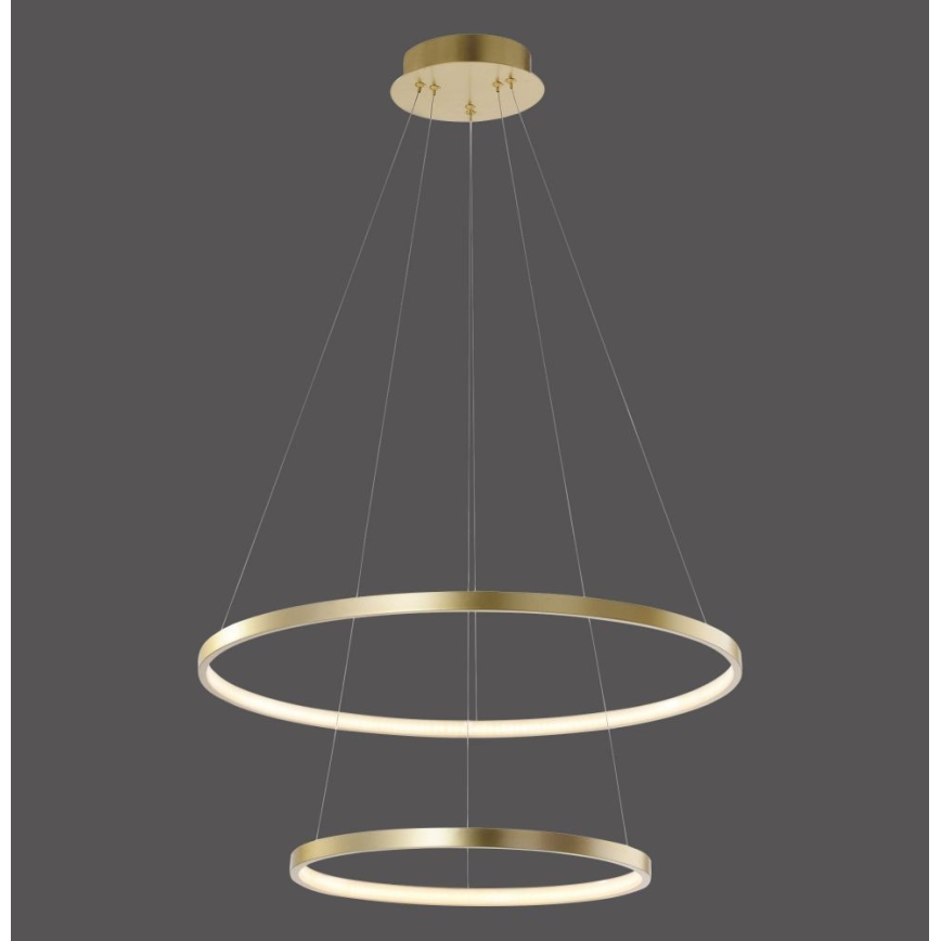 Leuchten Direkt 11525-12 - LED Lustra uz auklas CIRCLE 1xLED/18,5W/230V + LED/23,5W
