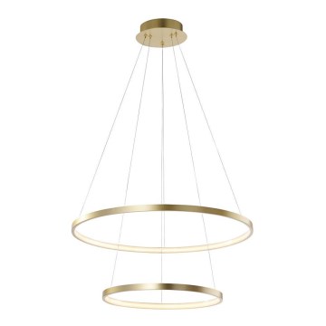 Leuchten Direkt 11525-12 - LED Lustra uz auklas CIRCLE LED/18,5W/230V + LED/23,5W