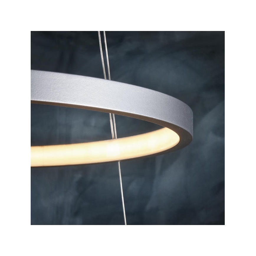 Leuchten Direkt 11525-21 - CIRCLE piekaramā LED lustra uz troses, LED/15W/230V + LED/25W