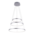 Leuchten Direkt 11526-55 - LED aptumšojama lustra uz kabeļa CIRCLE LED/13,5W/230V + LED/19,5W + LED/24W