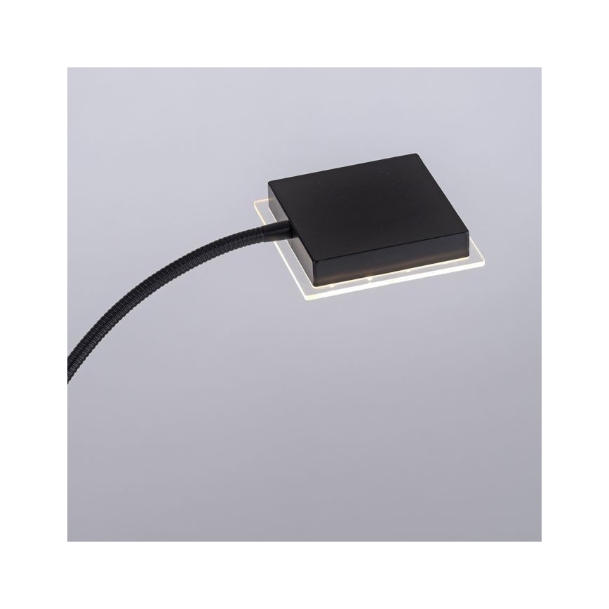 Leuchten Direkt 11710-18 - LED Aptumšojama grīdas stāvlampa HANS LED/21,5W/230V + LED/4W