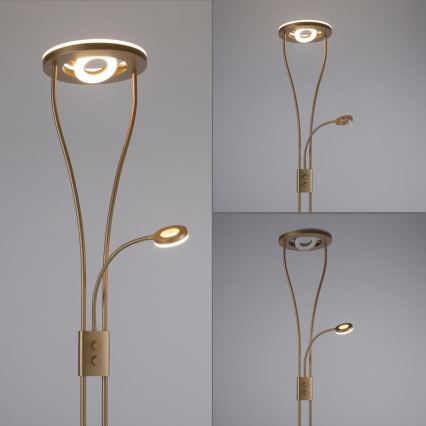 Leuchten Direkt 11778-60 - LED Aptumšojama grīdas stāvlampa HELIA LED/16,8W/230V + LED/7,6W gold