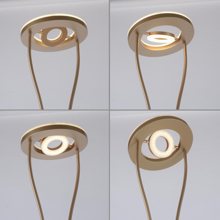 Leuchten Direkt 11778-60 - LED Aptumšojama grīdas stāvlampa HELIA LED/16,8W/230V + LED/7,6W gold