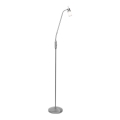 Leuchten Direkt 11938-55 - LED Grīdas lampa MAX LED 1xGU10/4W/230V