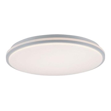 Leuchten Direkt 14208-16 - LED Aptumšojams griestu gaismekli COLIN LED/18W/230V