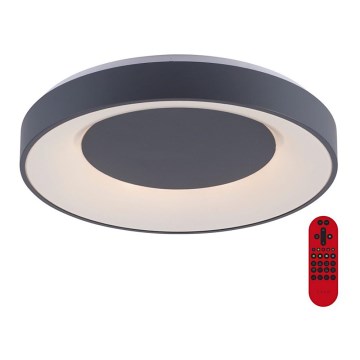 Leuchten Direkt 14346-18 -LED RGB Aptumšojams griestu gaismeklis ANIKA LED/26,5W/230V Tuya 2700-5000K + tālvadības pults