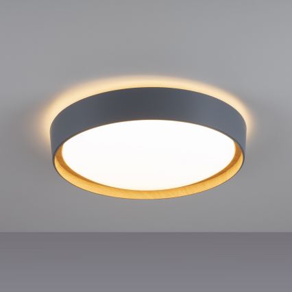 Leuchten Direkt 14347-15 - LED Aptumšojama griestu lampa EMILIA LED/28,8W/230V pelēka