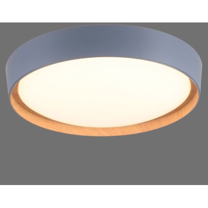 Leuchten Direkt 14347-15 - LED Aptumšojama griestu lampa EMILIA LED/28,8W/230V pelēka