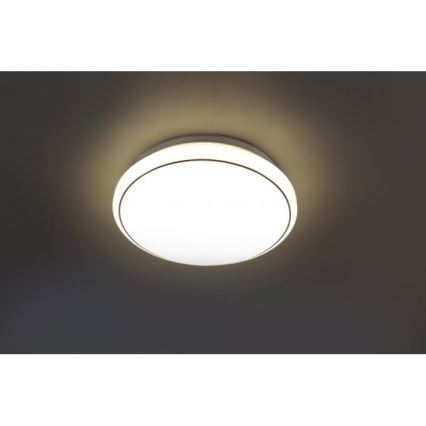 Leuchten Direkt 14362-16 - LED Griestu lampa JUPITER LED/17W/230V 3000/4000/5000K