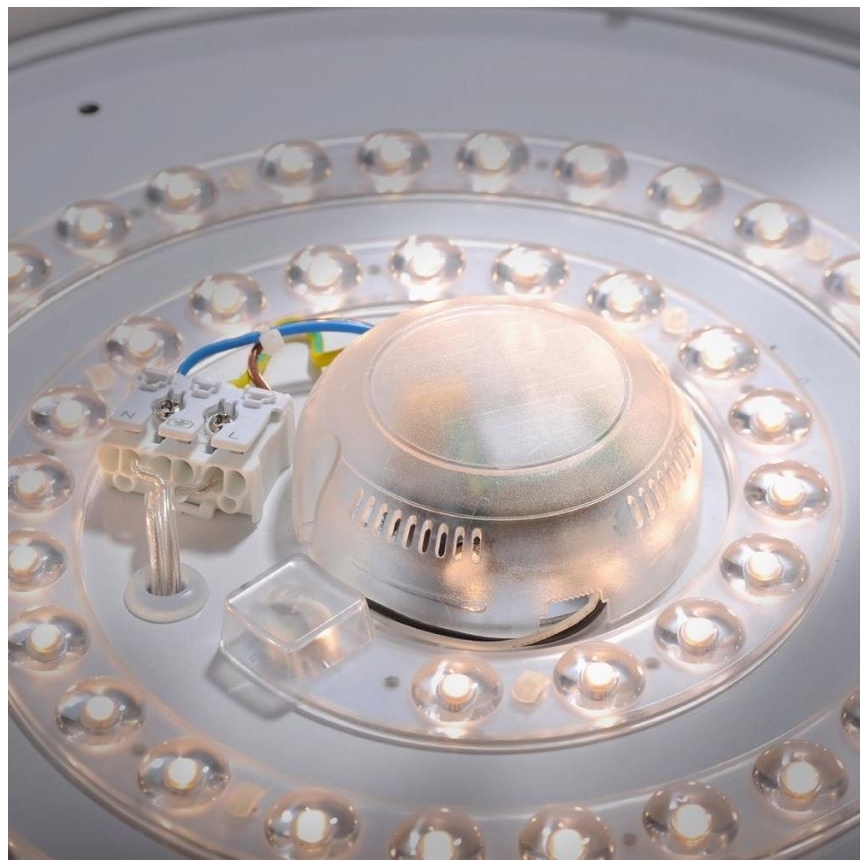 Leuchten Direkt 14422-17 - LED Vannas istabas griestu gaismeklis ar sensoru LAVINIA LED/18W/230V IP44