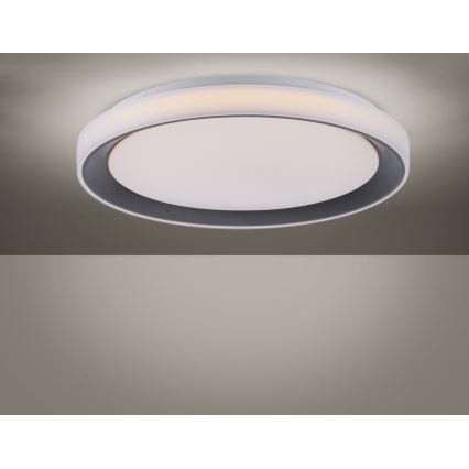 Leuchten Direkt 14659-18 - LED RGB Aptumšojams griestu gaismeklis LOLA LED/24W/230V Tuya + tālvadības pults