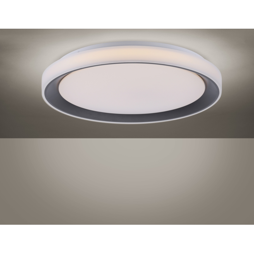 Leuchten Direkt 14659-18 - LED RGB Aptumšojams griestu gaismeklis LOLA LED/24W/230V Tuya + tālvadības pults