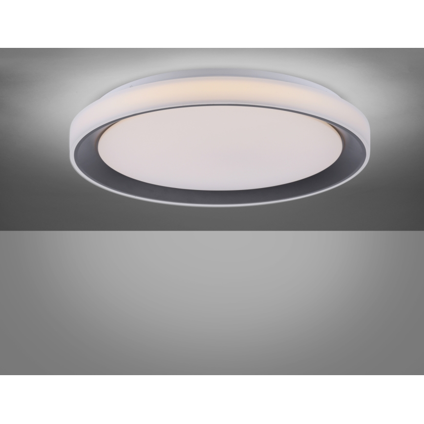 Leuchten Direkt 14659-18 - LED RGB Aptumšojams griestu gaismeklis LOLA LED/24W/230V Tuya + tālvadības pults