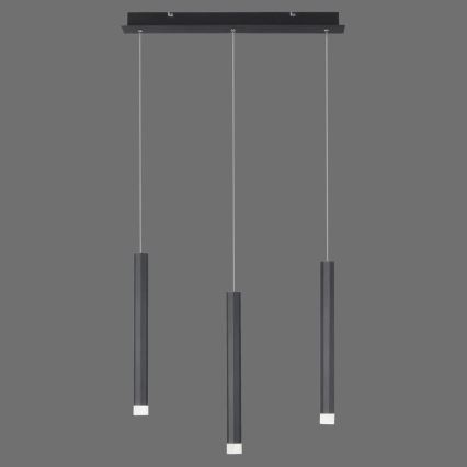 Leuchten Direkt 15203-18 - LED Lustra ar auklu 3xLED/4,8W/230V melna