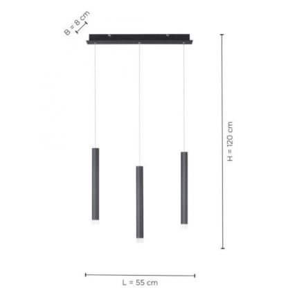 Leuchten Direkt 15203-18 - LED Lustra ar auklu 3xLED/4,8W/230V melna