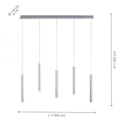 Leuchten Direkt 15205-95 - LED Lustra ar auklu BRUNO 5xLED/4,8W/230V