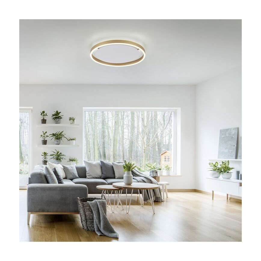 Leuchten Direkt 15391-60 - LED Aptumšojama griestu lampa RITUS LED/20W/230V misiņš