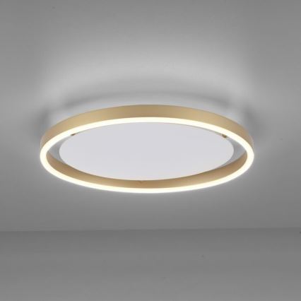 Leuchten Direkt 15391-60 - LED Aptumšojama griestu lampa RITUS LED/20W/230V misiņš