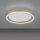Leuchten Direkt 15391-60 - LED Aptumšojama griestu lampa RITUS LED/20W/230V misiņš