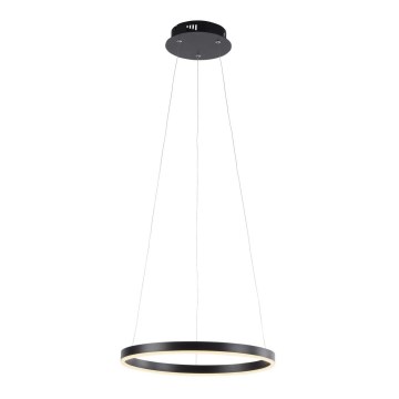 Leuchten Direkt 15393-13 - LED lustra ar regulējamu spilgtumu uz kabeļa RITUS LED/23,5W/230V melna