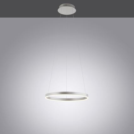 Leuchten Direkt 15393-95 - LED Aptumšojama lustra ar auklu RITUS LED/20W/230V matēts hroms