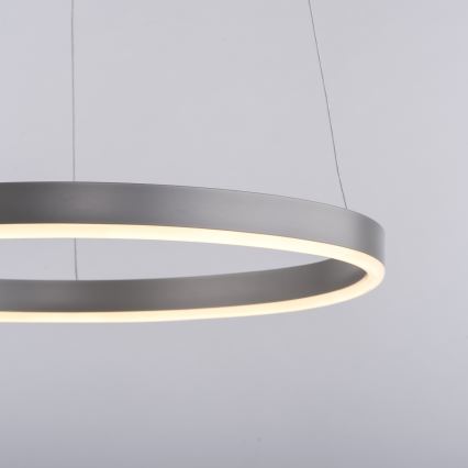 Leuchten Direkt 15393-95 - LED Aptumšojama lustra ar auklu RITUS LED/20W/230V matēts hroms